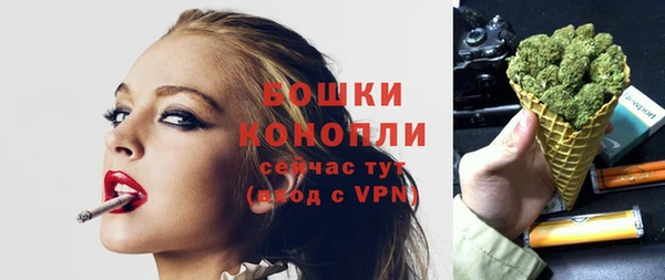 гашик Каменка