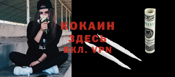 хмурый Каменногорск