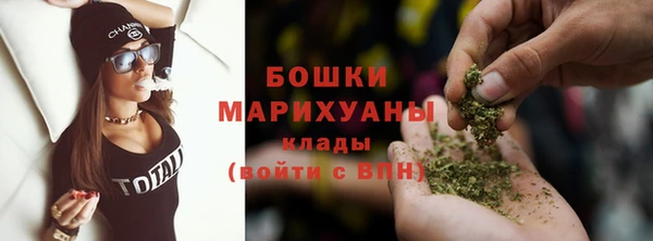 гашик Каменка