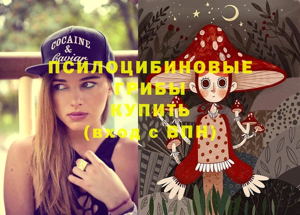 дурь Семилуки