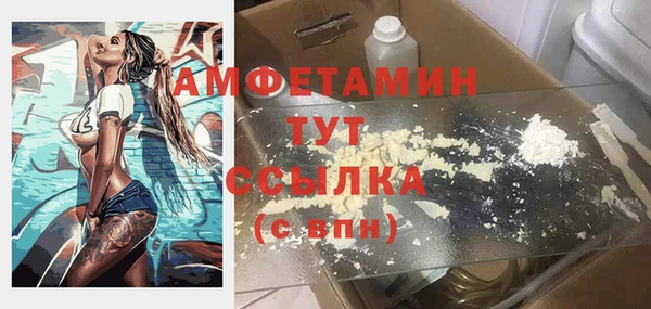 гашик Каменка