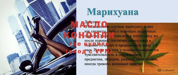 гашик Каменка
