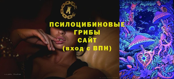 соль ск Инсар