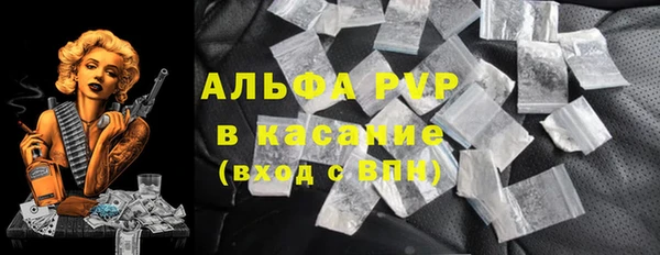 соль ск Инсар