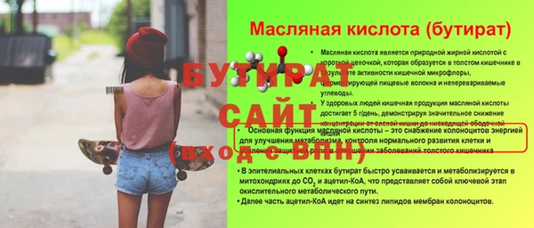 гашик Каменка