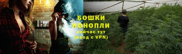 гидропоника Инта