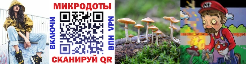 Купить где  Инта  Галлюциногенные грибы мицелий 